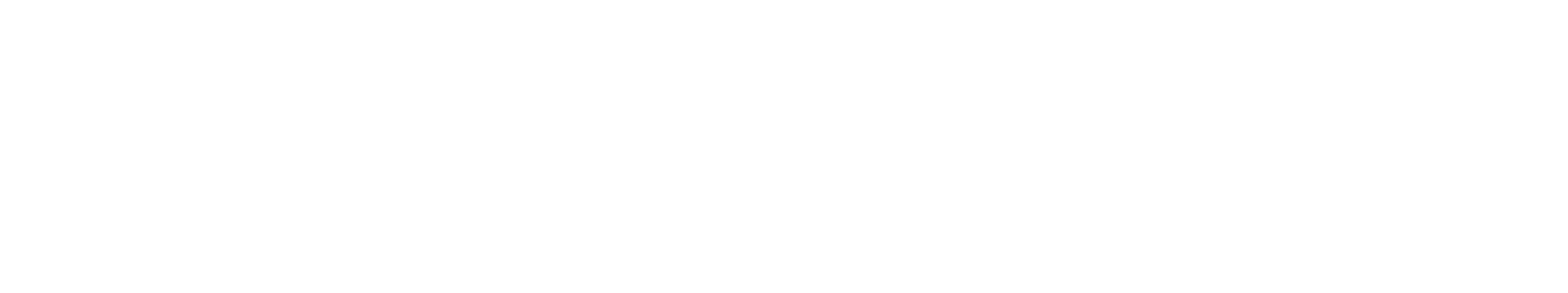 Estudios Neverland Logo